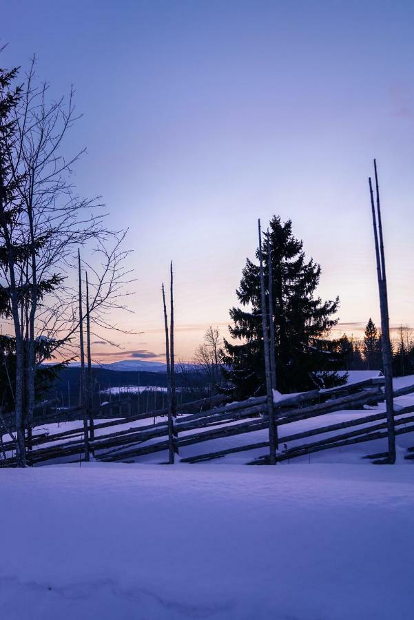 Asarna Skicenter Экстерьер фото